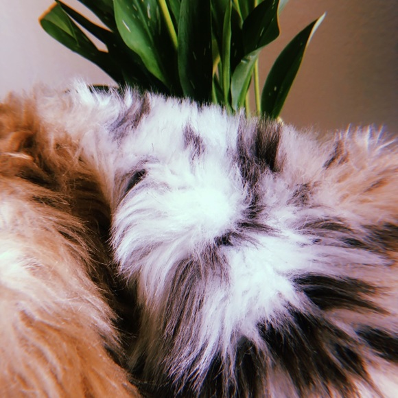 Jolt Cropped Fur Jacket - Picture 5 of 5